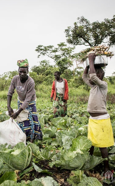 pemcoa-food-security